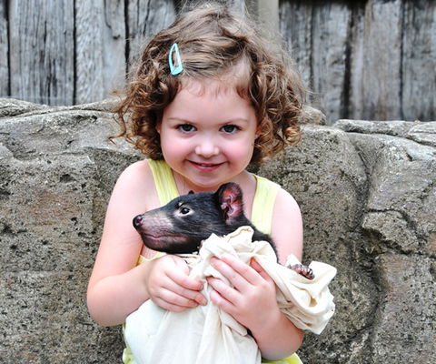 Australian Reptile Park - Inverell Accommodation 8