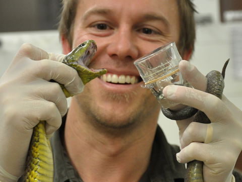 Australian Reptile Park - Inverell Accommodation 9