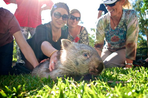 Australian Reptile Park - Inverell Accommodation 10