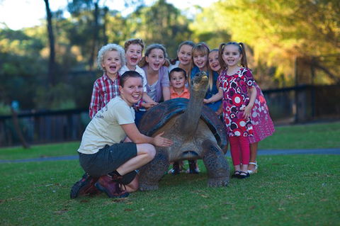 Australian Reptile Park - Inverell Accommodation 11