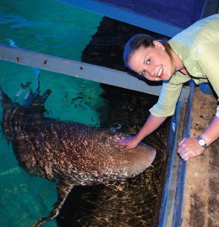 National Zoo & Aquarium - Inverell Accommodation 7