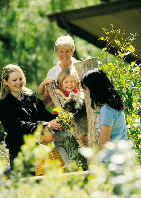 Cleland Wildlife Park - Inverell Accommodation 5