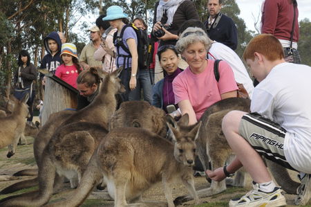 East Coast Natureworld - Inverell Accommodation 4
