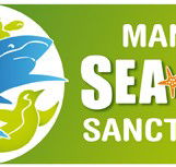 Manly SEA LIFE Sanctuary - Inverell Accommodation