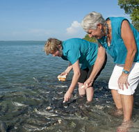 Aquascene Fish Feeding Sanctuary - Inverell Accommodation