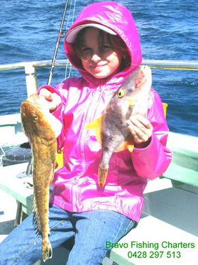 Bravo Fishing Charters - Inverell Accommodation 5