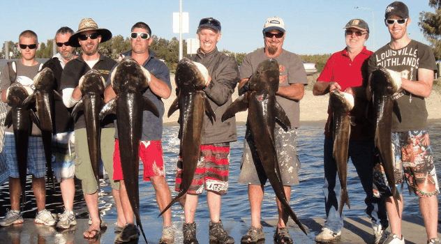 BKs Gold Coast Fishing Charters - Inverell Accommodation 1
