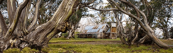High Country Scenic Tours - Inverell Accommodation