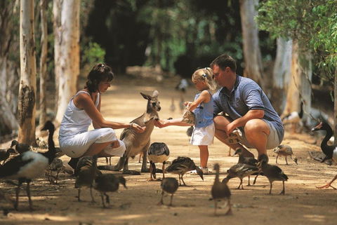 Billabong Sanctuary - Inverell Accommodation 0