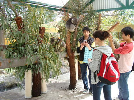 Caversham Wildlife Park - Inverell Accommodation 4