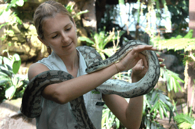 Cairns Wildlife Dome - Inverell Accommodation 2