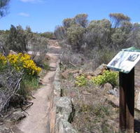Christmas Rock Walk - Inverell Accommodation