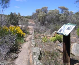 Christmas Rock Walk - Inverell Accommodation 0