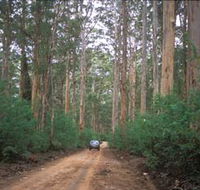 Boranup Drive - Inverell Accommodation