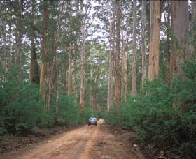 Boranup Drive - Inverell Accommodation 0