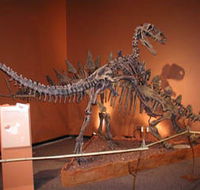Denmark Dinosaur World - Inverell Accommodation