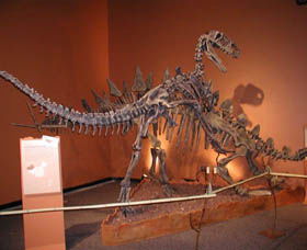Denmark Dinosaur World - Inverell Accommodation 0