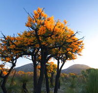 Cape Le Grand National Park - Inverell Accommodation
