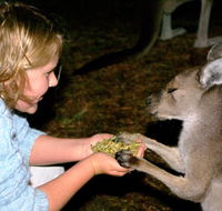 Discovery Bay's Walk on the Wild Side - Inverell Accommodation