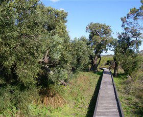 Kepwari Trails Wetland Wonderland - Inverell Accommodation 0