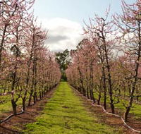 Raeburn Orchards - Inverell Accommodation