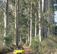 Mount Shadforth Scenic Drive - Inverell Accommodation