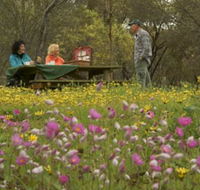 Gwambygine Park - Inverell Accommodation