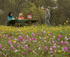 Gwambygine Park - Inverell Accommodation 0