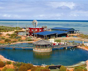 Ocean Park Aquarium - Inverell Accommodation 0