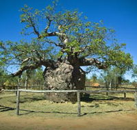 Pigeon Heritage Trail - Inverell Accommodation