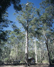Wilgarrup WA Inverell Accommodation