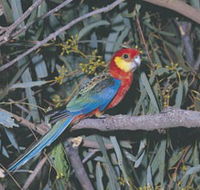 King River - Inverell Accommodation