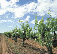 Blackwood Meadery - Inverell Accommodation