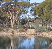 Merredin Railway Dam - Inverell Accommodation