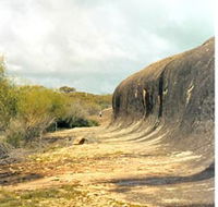 Totadgin Dam Reserve - Inverell Accommodation