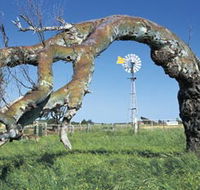 Greenough Leaning Trees - Inverell Accommodation