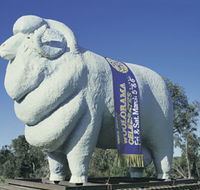 Giant Ram Tourist Park - Inverell Accommodation