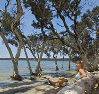 Stokes National Park - Inverell Accommodation