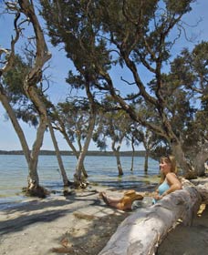 Stokes National Park - Inverell Accommodation 0
