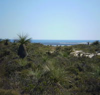 Lesueur National Park - Inverell Accommodation