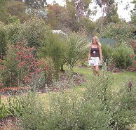 The Mythic Mazes - Inverell Accommodation