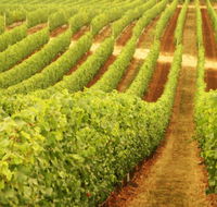 Xanadu Wines - Inverell Accommodation