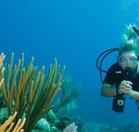 Coastal Water Dive - Inverell Accommodation