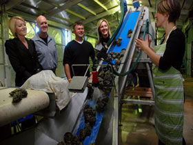 Eyre Peninsula's Seafood Trail - Inverell Accommodation 0