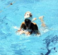 Mount Gambier Aquatic Centre - Inverell Accommodation