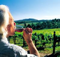 Ashton Hills Vineyard - Inverell Accommodation