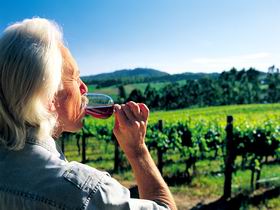 Ashton Hills Vineyard - Inverell Accommodation 0