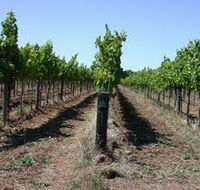 Temple Bruer Winery - Inverell Accommodation