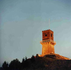 Centenary Tower - Inverell Accommodation 0