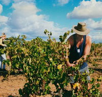 Torbreck Vintners - Inverell Accommodation